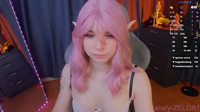 zelda_1 webcam