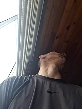 Nachosexy webcam