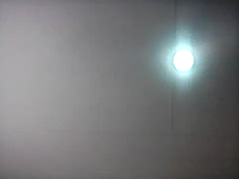 bogbosdick webcam