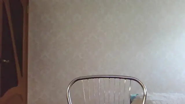 Kashtanka_ webcam