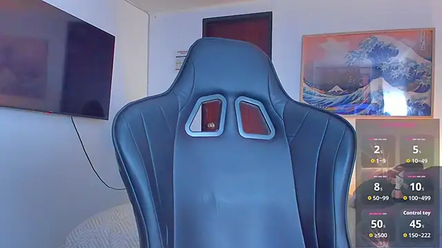 RJBarto webcam