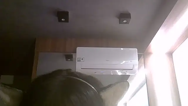 SkinnyKitten webcam