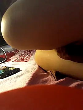 -Tara-a webcam