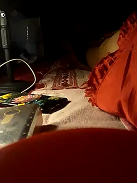 -Tara-a webcam