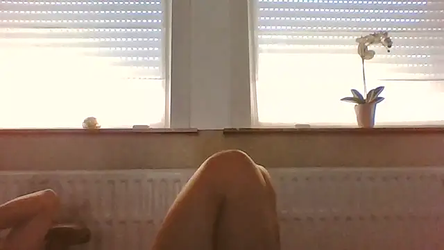 bertolini live cam on StripChat