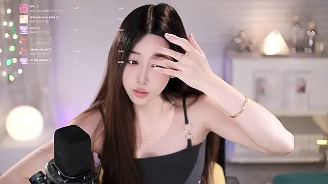 SleepArtist webcam