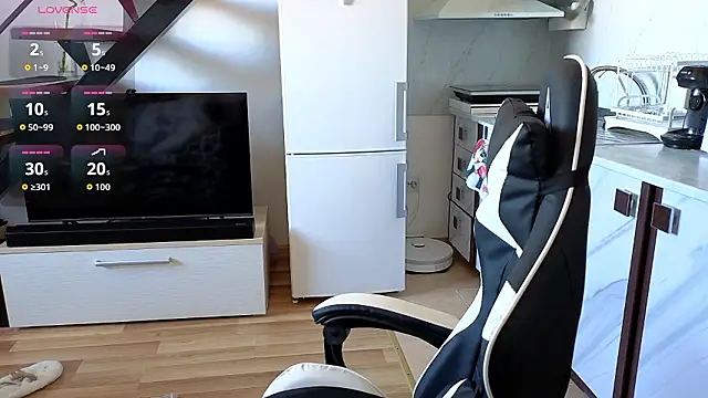 RyanStorm_ webcam