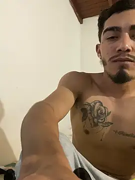 Dominant_kiing webcam