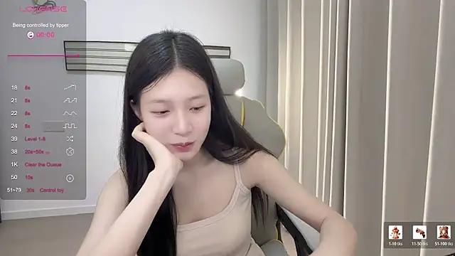 yy-1314 webcam