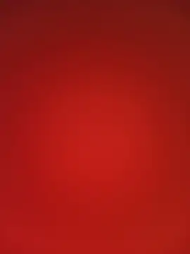Canela_Osada_ webcam