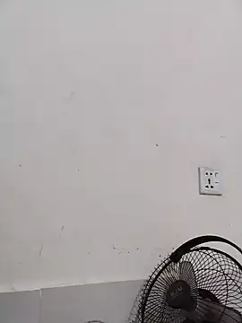 Lema-01 webcam