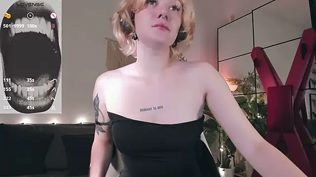 evathority webcam
