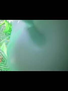 PilarBigCockxxx Live Web Cam Show