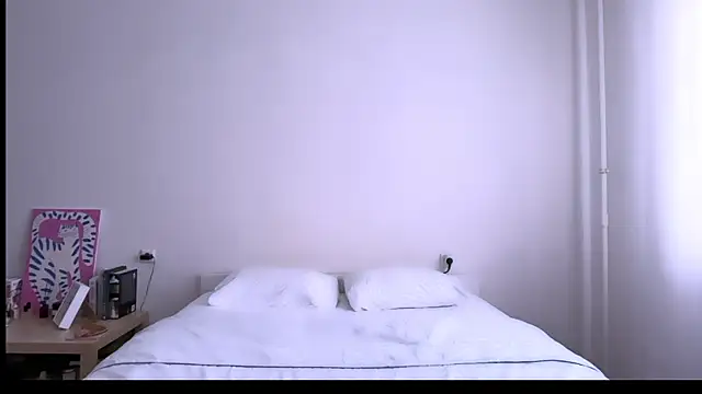 Milky___Way webcam