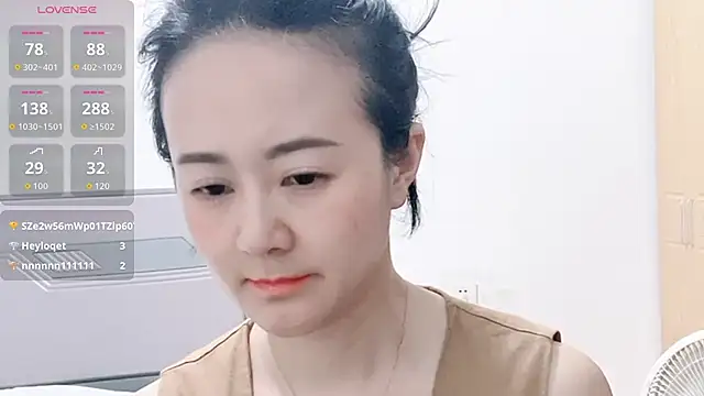 fanfan-FF webcam