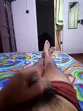 SlNotybo webcam
