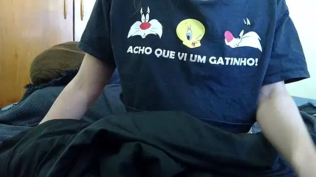 Ibovegas webcam
