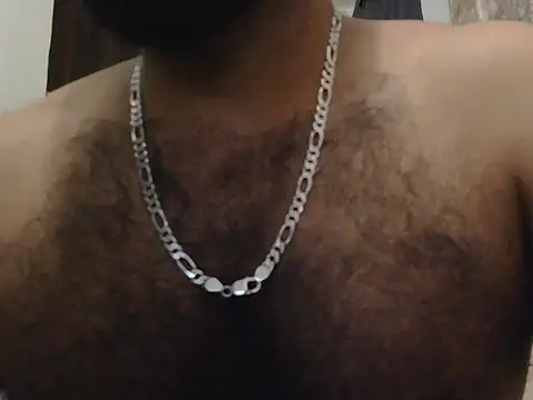 indianhairybull webcam