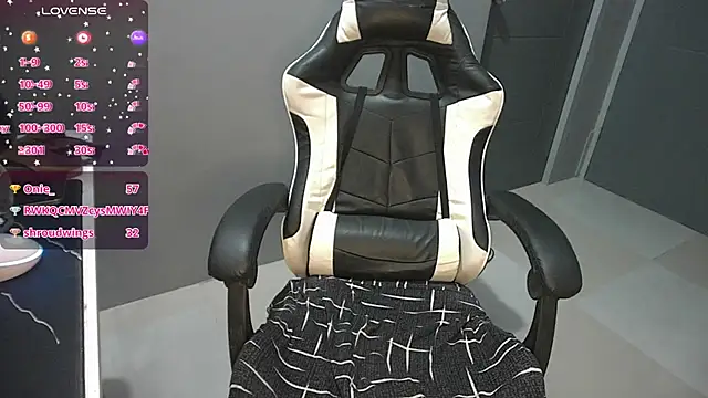 Shielasmith webcam