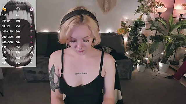 evathority webcam