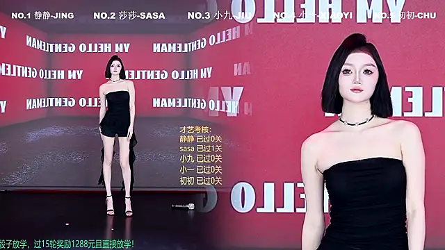 TY-002 webcam