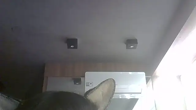 SkinnyKitten webcam