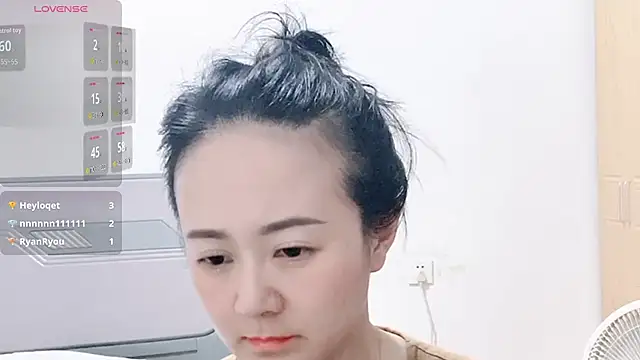 fanfan-FF webcam