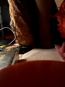 -Tara-a webcam
