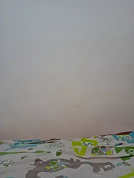 altinya webcam