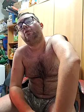 Javier_bear webcam