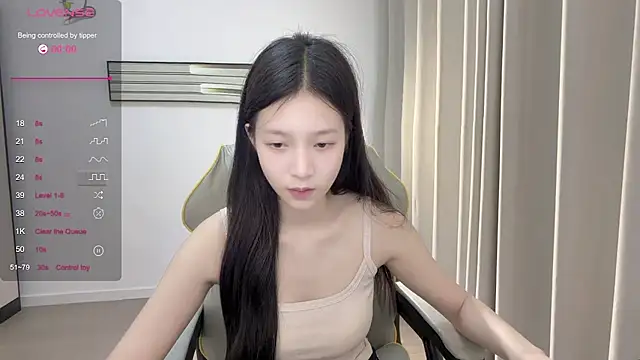 yy-1314 webcam