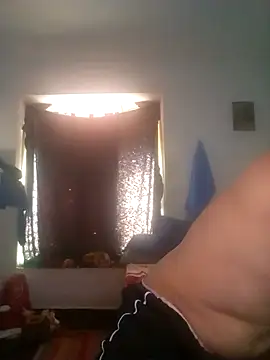 wa379 webcam
