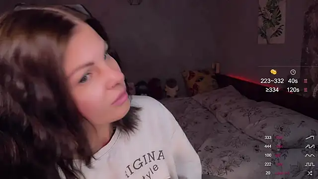 Alaska_ya webcam