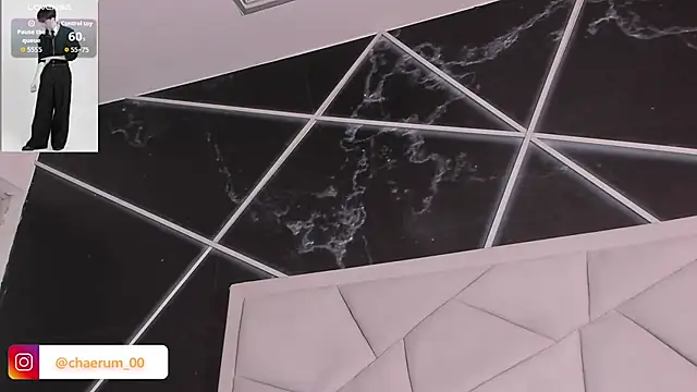 AerumChae webcam