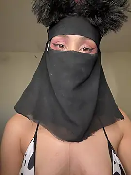 arabayla webcam