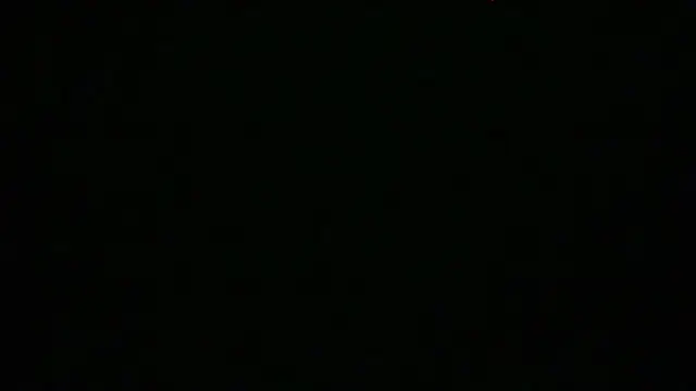 Ladywinter webcam
