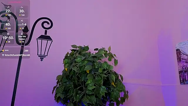 Inari_Okami_ webcam