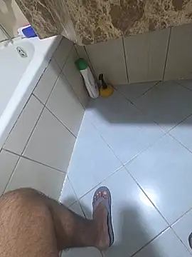dream_catcher webcam
