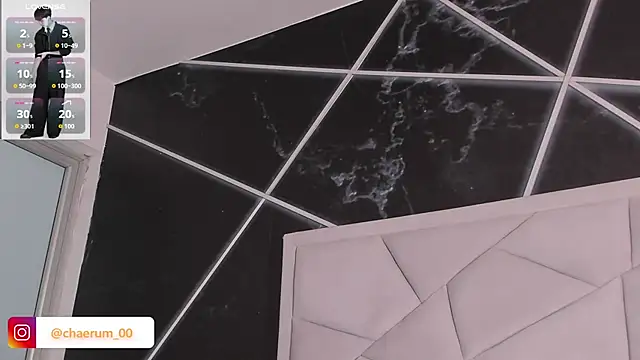 AerumChae Live Web Cam Show