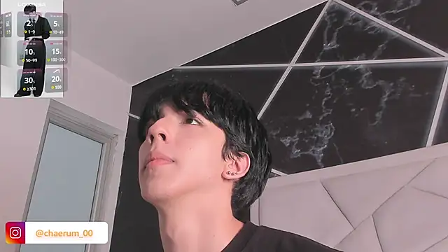 AerumChae webcam