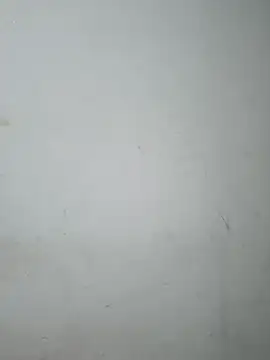 Doudoulecoquin webcam