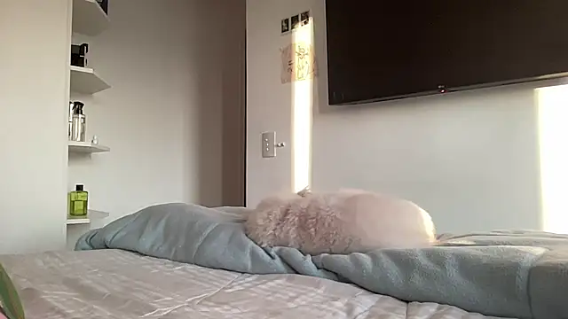 lailayourangel webcam