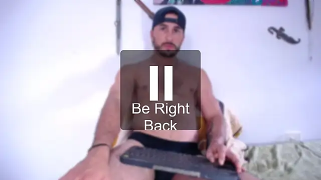 damn_fox webcam