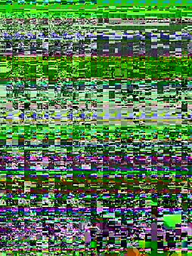 LuxeAura webcam