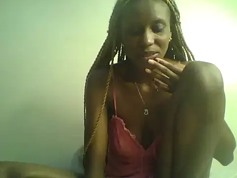 DelteAfriq webcam