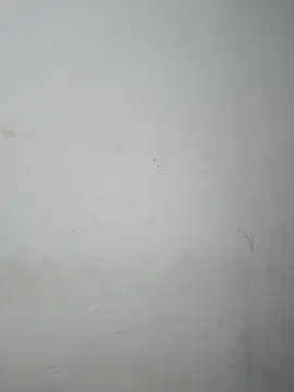 Doudoulecoquin webcam