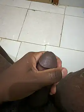 yff68 webcam