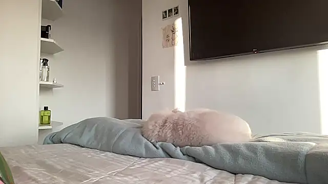 lailayourangel webcam