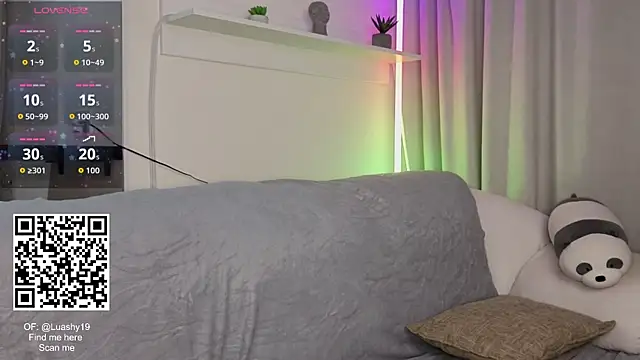 _Lua__ webcam