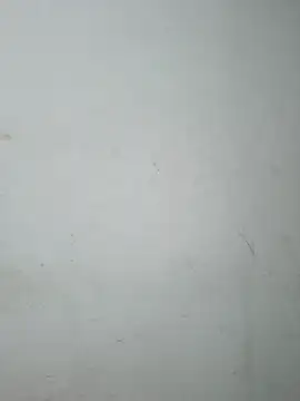 Doudoulecoquin webcam